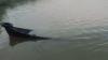 Perahu Bawa Belasan Pelajar Tabrakan hingga Terbalik di Sungai Kanan