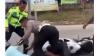 Viral Aksi Pemotor di Berau Nekat Tabrak Polisi di Jalan gegara Takut Ditilang