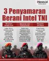 Infografis 3 Kisah Penyamaran Berani Intel TNI