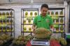 Bayar Segini Makan Durian Sepuasnya - Bagian 2