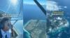 Viral Video Pulau yang Mirip Jurassic Park Tertangkap Kamera Pilot, Lokasinya di NTT!