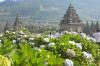 Candi Arjuna Bersolek Menyambut Dieng Culture Festival 2024 - Bagian 4