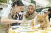 Tingkatkan Ikatan Emosional Hewan Kesayangan Lewat Penyajian Makanan yang Kreatif - Bagian 1