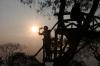 Melihat Indahnya Sunrise di Hamparan Kebun Teh Bukit Kuneer Malang - Bagian 5