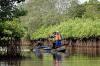 Konservasi Mangrove Segara Anakan Cilacap - Bagian 4