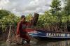 Konservasi Mangrove Segara Anakan Cilacap - Bagian 2