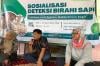 Tingkatkan Produktivitas Ternak dengan Deteksi Birahi Sapi hingga Manfaatkan Limbah - Bagian 1