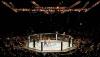 Asal-usul Octagon, Arena Pertumpahan Darah Petarung UFC