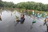 Tanam Ribuan Mangrove dan Lepas Puluhan Burung di Taman Wisata Alam - Bagian 1