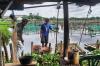Budi Daya Ikan Air Tawar di Danau Balang Tonjong untuk Ketahanan Pangan - Bagian 3