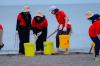 4.500 Puntung Rokok hingga 232 Kg Sampah Dikumpulkan dari Pantai Tanjung Pasir