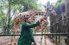 Taman Margasatwa Ragunan Padat Pengunjung - Bagian 4