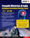 Infografis Penyakit Misterius di India Sebabkan Kerusakan Otak dan Saraf