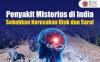 Infografis Penyakit Misterius di India Sebabkan Kerusakan Otak dan Saraf