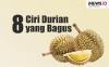 Infografis 8 Ciri Durian yang Bagus