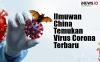 Infografis Ilmuwan Temukan Virus Corona Terbaru