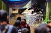 Potret Permukiman Warga Kebon Pala Masih Terendam Banjir Setinggi 2 Meter - Bagian 2