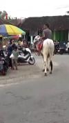 Viral Warga Ponorogo Berburu Takjil Naik Sapi