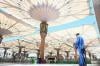 Suhu di Madinah Capai 41 Derajat Celsius, Jemaah Haji RI Diimbau Waspadai Gejala Dehidrasi hingga Heat Stroke
