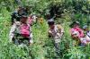 Fakta Temuan Ladang Ganja di Gunung Semeru, Berawal dari Polisi Tangkap 2 Pelaku Narkoba