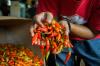 Harga Bawang Merah dan Cabai Rawit Turun Jadi Segini - Bagian 3