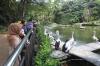 19 Ribu Orang Berwisata di Taman Margasatwa Ragunan - Bagian 3