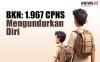 Infografis BKN Ungkap 1.967 CPNS Mengundurkan Diri