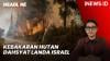  Kebakaran Hutan Dahsyat Landa Israel, Ribuan Penduduk Dievakuasi