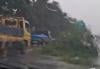 Ada Pohon Tumbang Terbawa Angin di Tol Jagorawi, Rekayasa Lalin Diterapkan