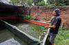 Raup Cuan Dari Budi Daya Ikan Lele di Permukiman Padat Bekasi - Bagian 6