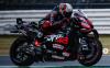 Bezzecchi Juara, Asapi Zarco dan Marquez