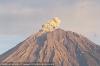 Gunung Semeru Erupsi Pagi Ini, Kolom Abu Capai 1.000 Meter di Atas Puncak