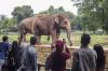 Taman Margasatwa Ragunan Tetap Buka untuk Pengunjung - Bagian 2