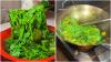 Viral Mi Tek-Tek Kuah Matcha di Bandung, Netizen Muak! 