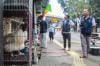Pasar Hewan Barito Segera Direlokasi - Bagian 4