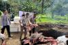 Karantina Sulut Musnahkan 1 Ton Daging Celeng dan 700 Produk Impor Ilegal, Ini Alasannya!