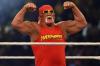 Profil Hulk Hogan, Ikon WWE yang Meninggal Dunia karena Henti Jantung