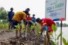 Peringati Hari Mangrove Sedunia, BRI Komitmen Selamatkan Lingkungan Lewat Cara Ini