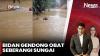 Viral! Detik-Detik Bidan Sebrangi Sungai Demi Kunjungi Pasien