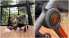 Viral Erika Carlina Unboxing Stroller Bayi Lamborghini Harganya Rp87 Juta!