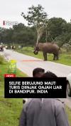 Selfie Berujung Maut Turis Diinjak Gajah