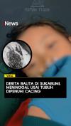 Derita Balita di Sukabumi Meninggal Usai Tubuh Dipenuhi Cacing