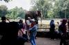 Libur Maulid Nabi, Wisatawan Kunjungi Taman Margasatwa Ragunan  - Bagian 2