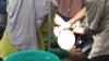 Ngeri! Petani di Lampung Diserang Harimau saat Naik Motor Bersama Anaknya