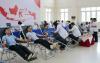 Selain Menolong Orang, Ini Manfaat Donor Darah bagi Kesehatan Tubuh