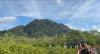 3 Rekomendasi Wisata Alam di Trenggalek, Indahnya Hutan Mangrove hingga Pantai Pasir Putih