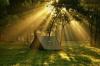 3 Tempat Lari Malam di Cibubur Paling Hits dan Instagramable, Sudah Coba?