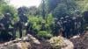 TNI Temukan Ladang Ganja, Tersembunyi di Hutan Oksibil Pegunungan Bintang