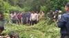 Polisi Ungkap Ladang Ganja di Perbukitan Karo, 400 Batang Dimusnahkan