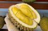 Geger! Malaysia Klaim Durian Jadi Buah Nasional, Ini Faktanya
